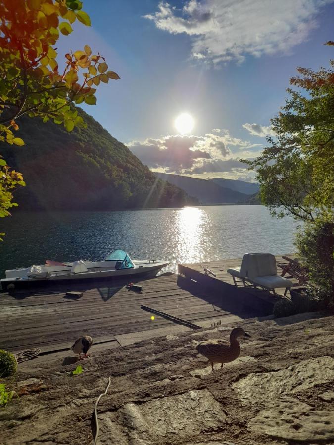 Forest Dream Lake House Яйце Екстер'єр фото